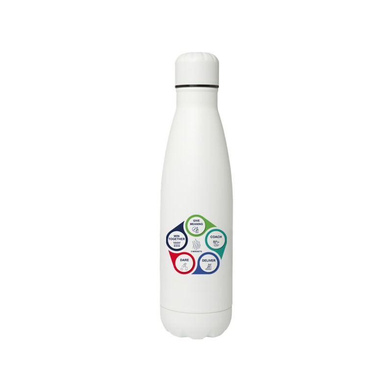 Bouteille 500 ml Mindset